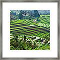 Water-filled Rice Terraces, Bali Framed Print