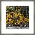 Water Granite And Trees Framed Print