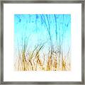 Water Grass - Outer Banks Framed Print