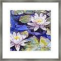 Water Lilies Framed Print