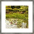 Water Lilies In The Garden Framed Print