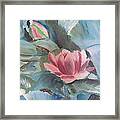 Water Lilies Framed Print