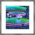 Flower 15 Framed Print