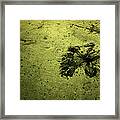 Water Pattern 3 Framed Print