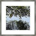 Water Reflection Framed Print