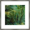 Water Reflections Framed Print
