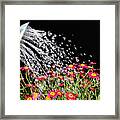 Watering Flowers Framed Print
