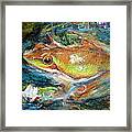 Waterlily And Frog Framed Print