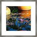 Waterlily Reflections Framed Print