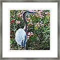 Waters Edge Framed Print