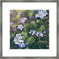 We Lay With The Flowers Framed Print