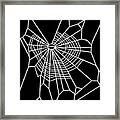 Web Of Spider Exposed To Marijuana Framed Print