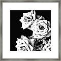 Weeping Roses Framed Print
