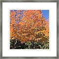 Welcome Autumn Framed Print