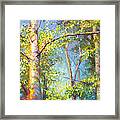 Welcome Home - Birch And Aspen Trees Framed Print