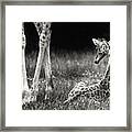 Well Protected Framed Print