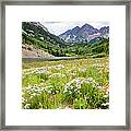 West Elk Wildflowers Framed Print