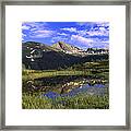 West Needle Mountains Weminuche Framed Print