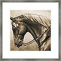 Western Horse Painting In Sepia Framed Print