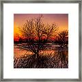 Wetlands Dawn Framed Print