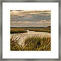 Wetlands In September Framed Print
