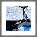 Whale Kiss Framed Print