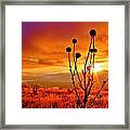 What A Morning Framed Print
