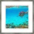 What Are You Looking At Framed Print