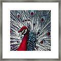 What If - A Fanciful Peacock Framed Print