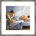 What Is He Dreaming Framed Print