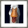 Whats Up Duck Framed Print