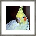 What's Up? Framed Print