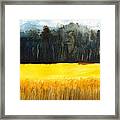 Wheat Field 1 Framed Print