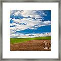 Wheat Wave Framed Print