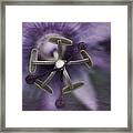 Wheel Of Life Framed Print