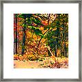 When Fall Becomes Winter Framed Print
