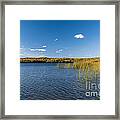 When Left Untouched Framed Print