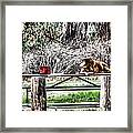 Where Is He Going? Framed Print