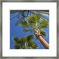 Which One Doesnt Belong 1 Framed Print Which One Doesnt Belong 1 Framed Print