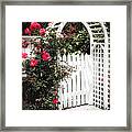 White Arbor With Red Roses Framed Print