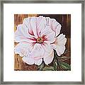 White Beauty Framed Print