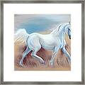 White Horse Framed Print