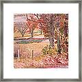 White Horse With Orange And Green Autumn Colors Framed Print