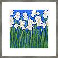 White Irises Framed Print