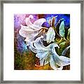 White Lily - Colorful Edition Framed Print