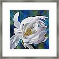 White Magnolia With Blues Framed Print