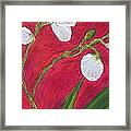White Orchid On Red Framed Print