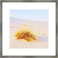 White Sands Framed Print