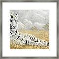 White Tiger Framed Print