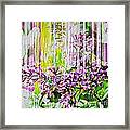 White Washed Painted Lilac Framed Print